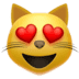 :heart_eyes_cat: